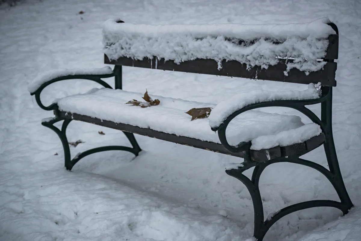 Snow-covered bench with a few leaves on the seat